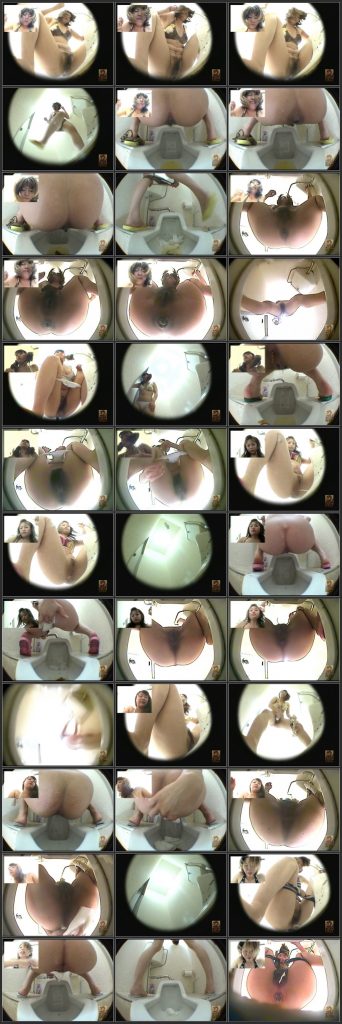 [SLFT-003] うんこシリーズ 水着美女編 盗撮 Toilet トイレ(盗撮) トイレ Post