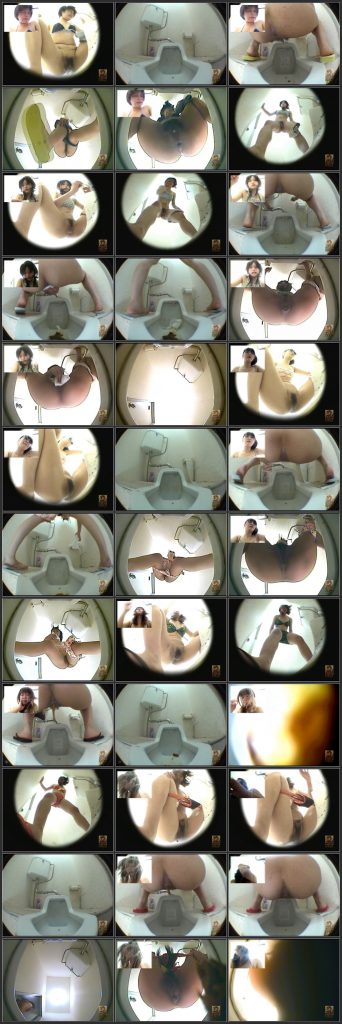 [SLFT-003] うんこシリーズ 水着美女編 盗撮 Toilet トイレ(盗撮) トイレ Post