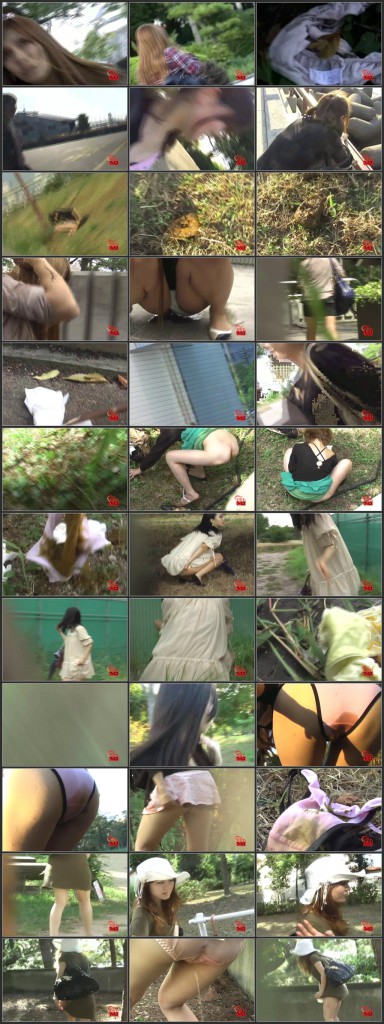 [F15-23] 野外排泄シリーズ 追跡ストーキングおもらし失態現場 ... 盗撮 Toilet