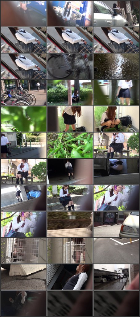[PM-113] 盗撮！！　野グソ野ション　9　女子高生編 脱糞 Voyeur 2012/12/09 Other School Girls