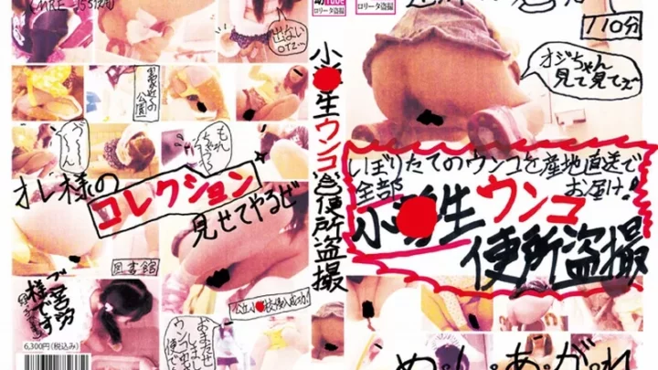 [YOU-004] 小●生ウンコ便所盗撮 脱糞 Defecation Lolita