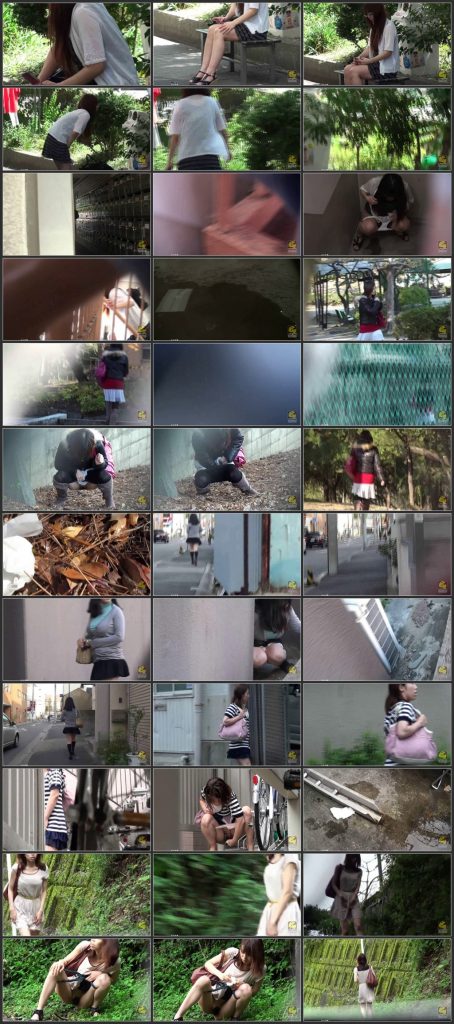 [PM-118] 盗撮！！　野グソ野ション　１０ Scat Other Voyeur 露出 Exposure