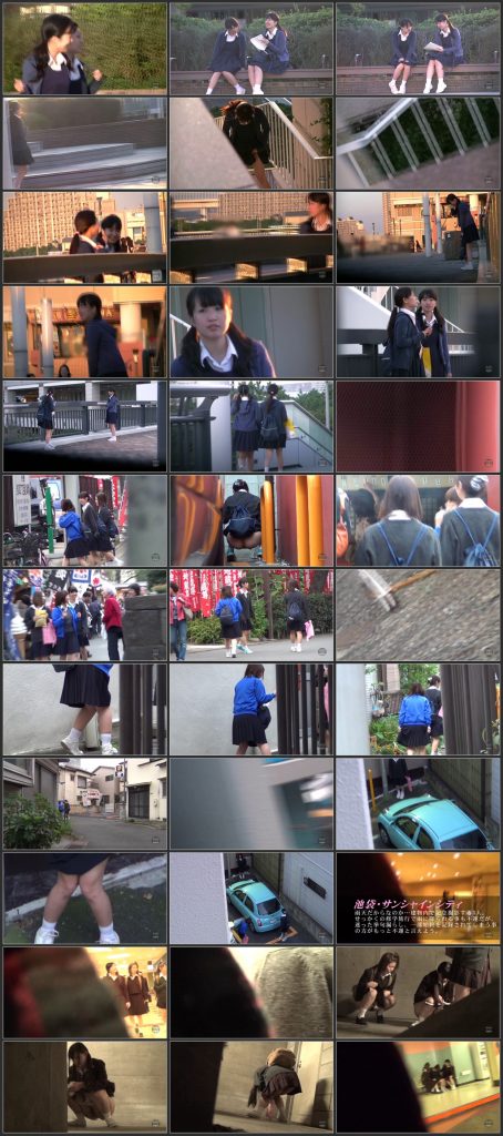[DSOH-01] 修学旅行生たちの放尿・お漏らし　ＩＮ　ＴＯＫＹＯ　１. Defecation. Golden Showers.