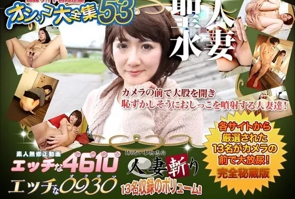 [H0930-ki141228] おしっこ特集53 piddle53