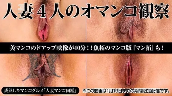 [Pacopacomama-011515_330] 人妻マンコ図鑑 29 ～みんなで人妻マンコ図鑑～