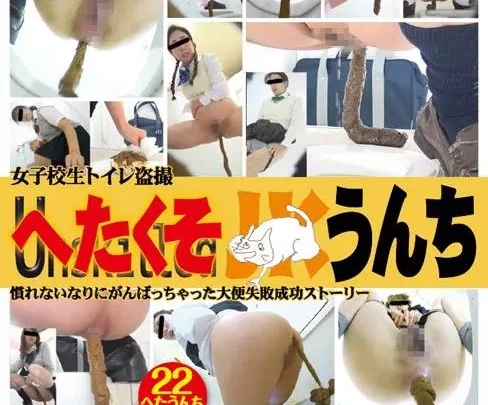 [EE-271] – 女子校生トイレ盗撮 へたくそうんち女子校生 盗撮 スカトロ スカトロ 脱糞