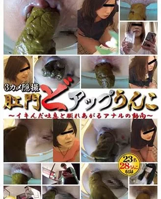 [SL-043] – 3カメ隠撮　肛門どアップうんこ　～イキんだ吐息と膨れあがるアナルの動向～盗撮 スカトロ 脱糞