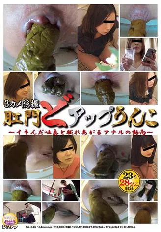 [SL-043] – 3カメ隠撮　肛門どアップうんこ　～イキんだ吐息と膨れあがるアナルの動向～盗撮 スカトロ 脱糞
