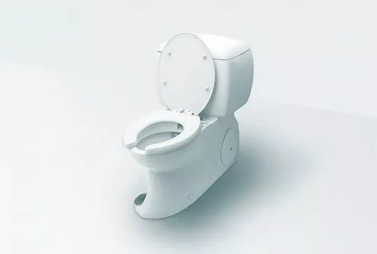 こっそり撮られたトイレ映像