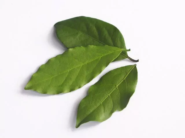 炉理魂07