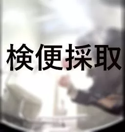 採取するセーラー