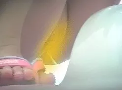大幅値下げのえすしートイレ盗撮（無）