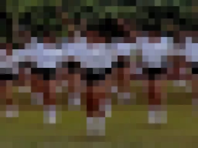 【블루마】체육대회에서 춤을 추는 블루마〇Ｃ