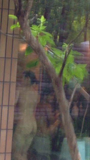 コレクション個人撮影　合宿風呂①
