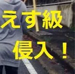●新作●えす级美少女再次家宅侵入●那个拍摄者●