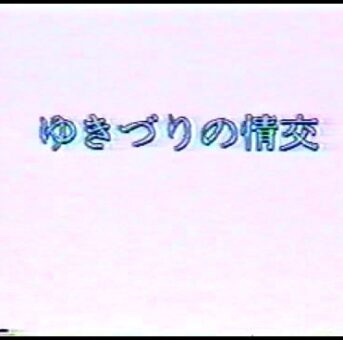 【無】　御藤静 ゆきずりの情交　【旧作】