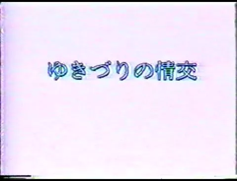 【無】　御藤静 ゆきずりの情交　【旧作】
