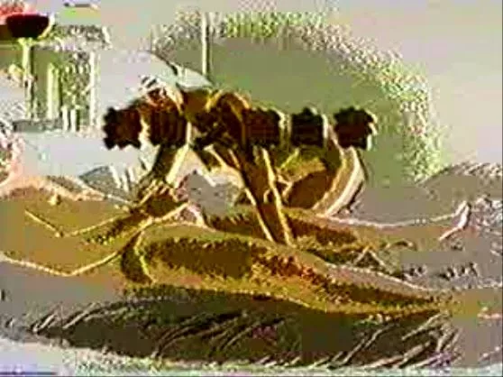 【円光映像】　지코, 사실은 JK야
