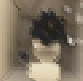可愛い洋式 和式トイレ
