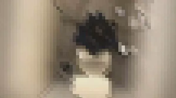 可愛い洋式 和式トイレ