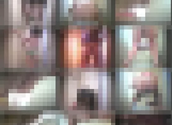 Peeping-holes  VIP_Special_Toliet_01-VIP_Special_Toliet_02