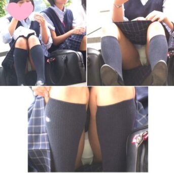 【レア】初々しい座り白パン