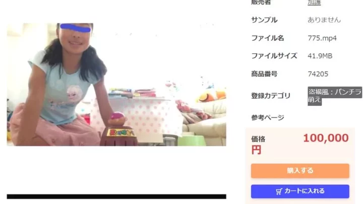 予定　7