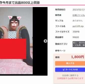 大量JS永久保存今月まで出品800以上収録