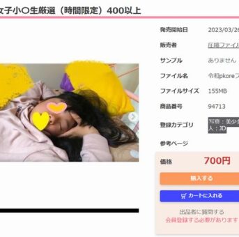 高画質大量女子小〇生厳選（時間限定）400以上