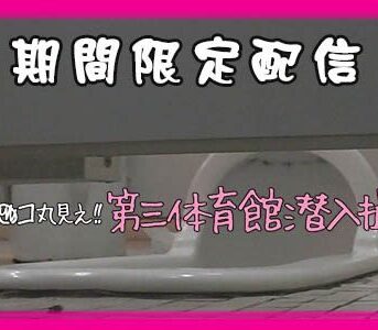 年末期間限定!!無垢▽地帯 超DANGER3 FHD【File053】