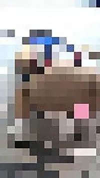Cheer ganzes Stück 【zeitlich begrenzt】