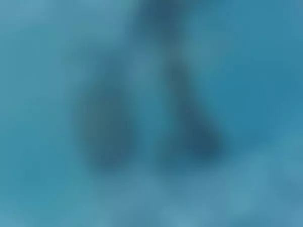 수영장에서의 수중 풍경 보이지 않는 세계