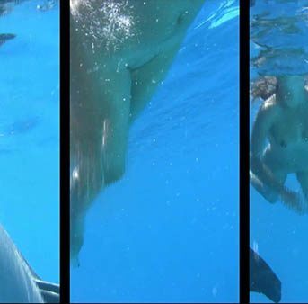 Candid-HD Amazing Dolphin Encounter  Part 1