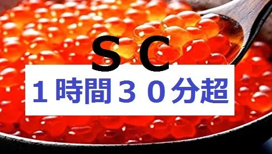 S&C Größe Eier･Gesamtausgabe SP/ Ausgewählte Highlights & ALL Japan (selten) über 1 Stunde 30 Minuten