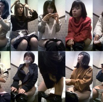 15391045 女子個室観察　no.15