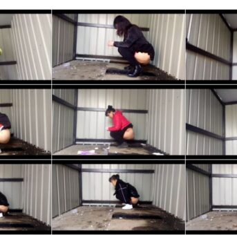 Simple dry toilet 11-13