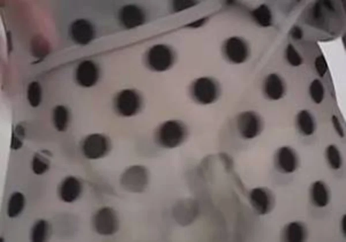 ちんちくりんｓしまい