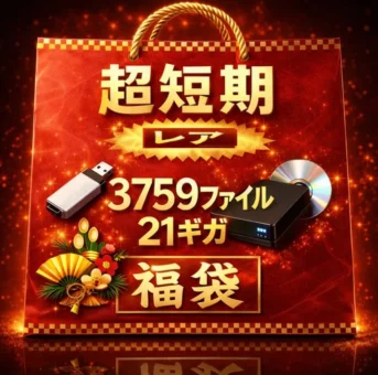 超短期　りゅ〇しゅつ　１１０人詰め合わせ　非売品　レア　３７５９ファイル　２１ギガ