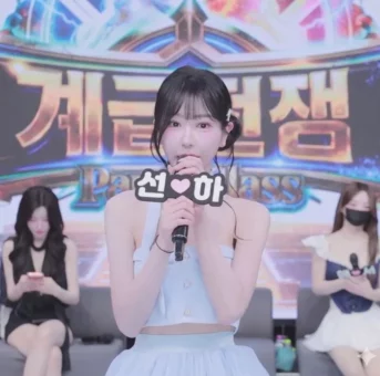 大人数韓国美女のダンスショー ～トップレスで踊り狂う19禁ライブステージ～ – HD高画質