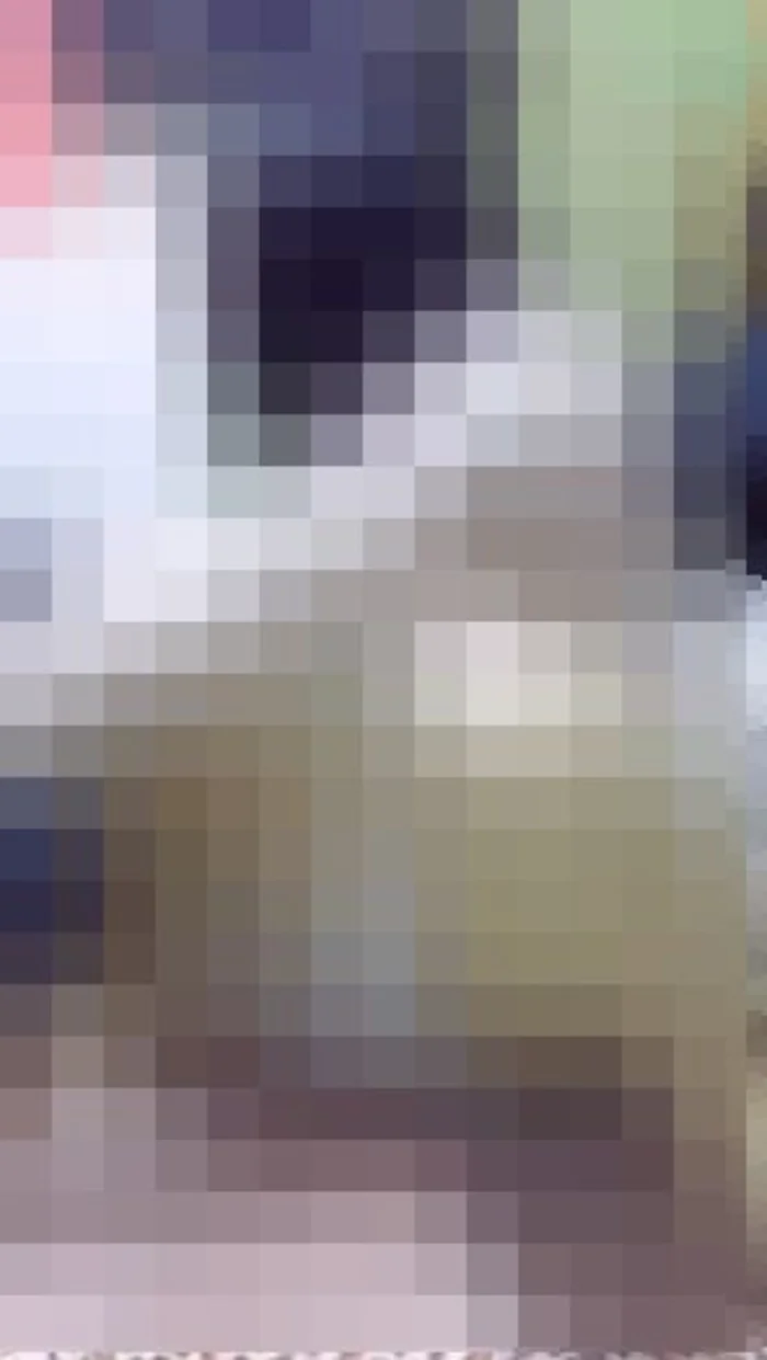 S美少女的內褲全露LIVE