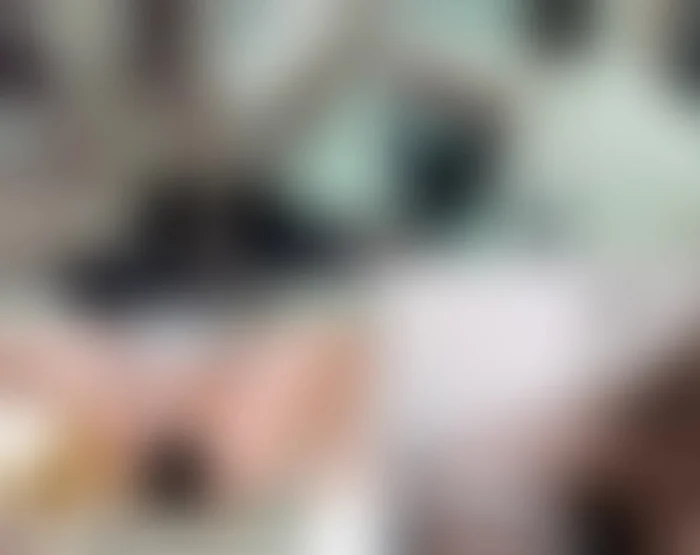 عاهرة، طالبة جامعية، في الهواء الطلق مع أشياء متنوعة، 3 أشخاص